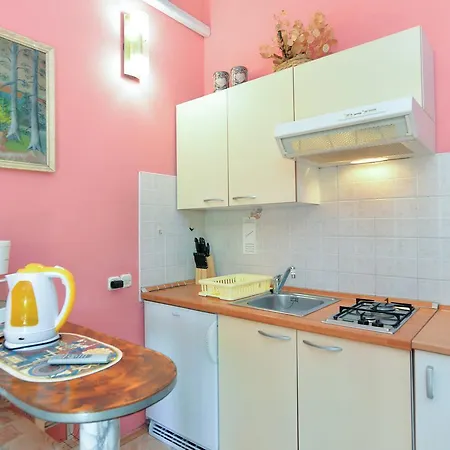 Apartment Predrag 498