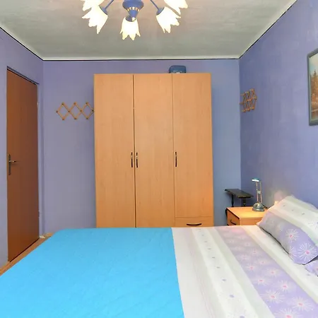 Predrag 498 *