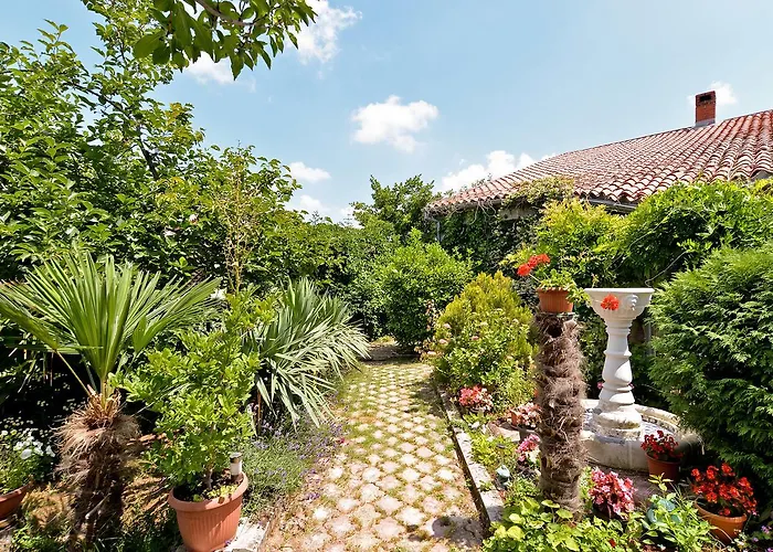 Predrag 498 Appartement Medulin