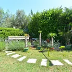 Predrag 498