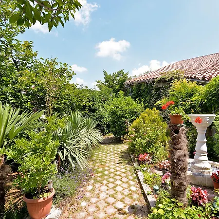 Predrag 498 Apartment *