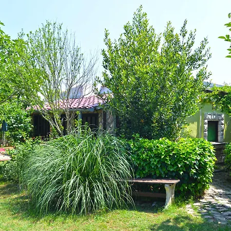 Predrag 498 * Medulin