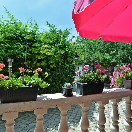 Predrag 498 Apartment *