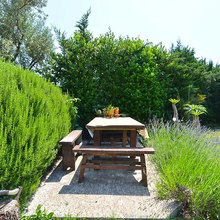 Apartment Predrag 498 *