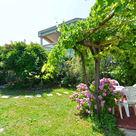 Predrag 498 * Medulin