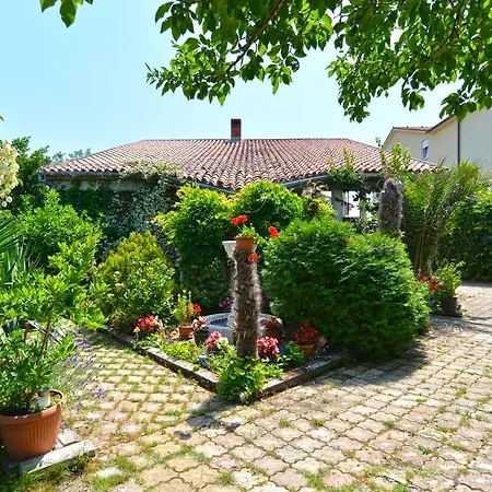 Predrag 498 Apartment