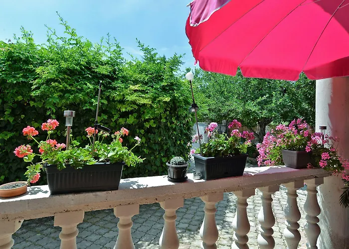 Predrag 498 Apartament *