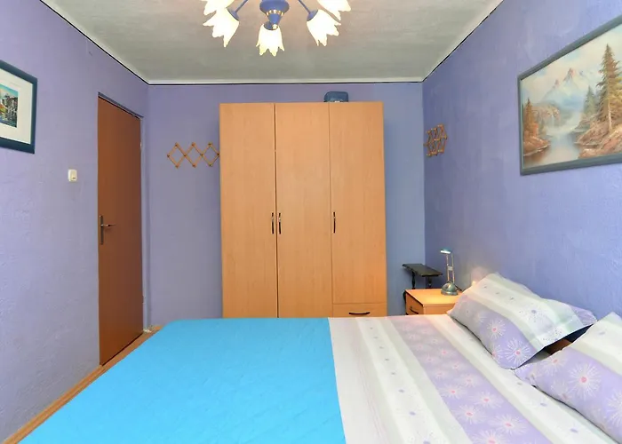 Predrag 498 *